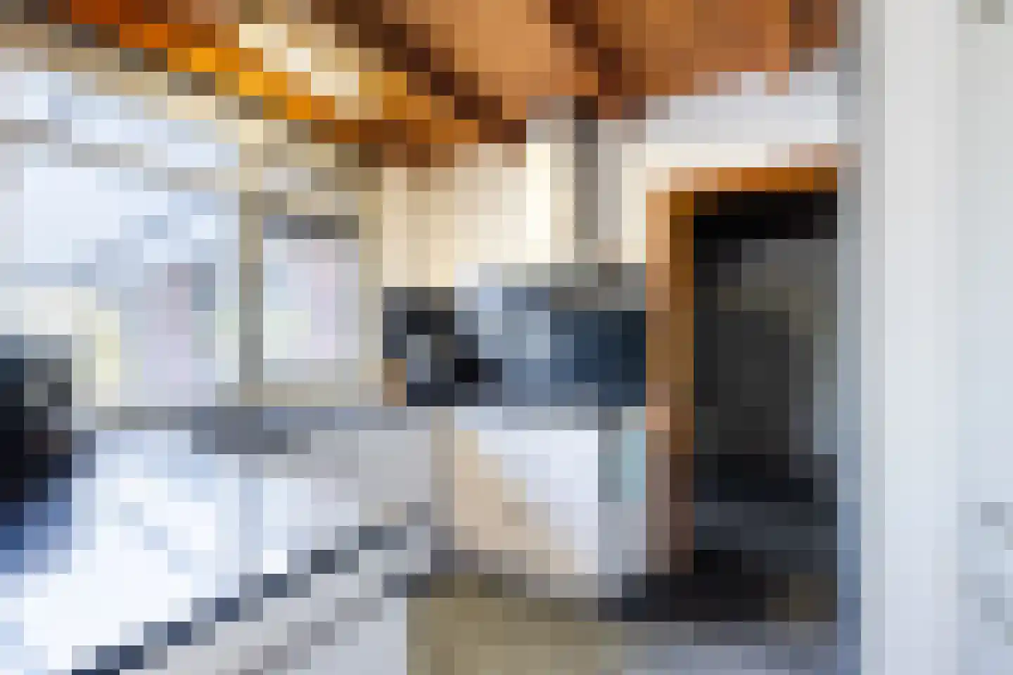 Dorpsstraat 138 B Assendelft thumbnail 22