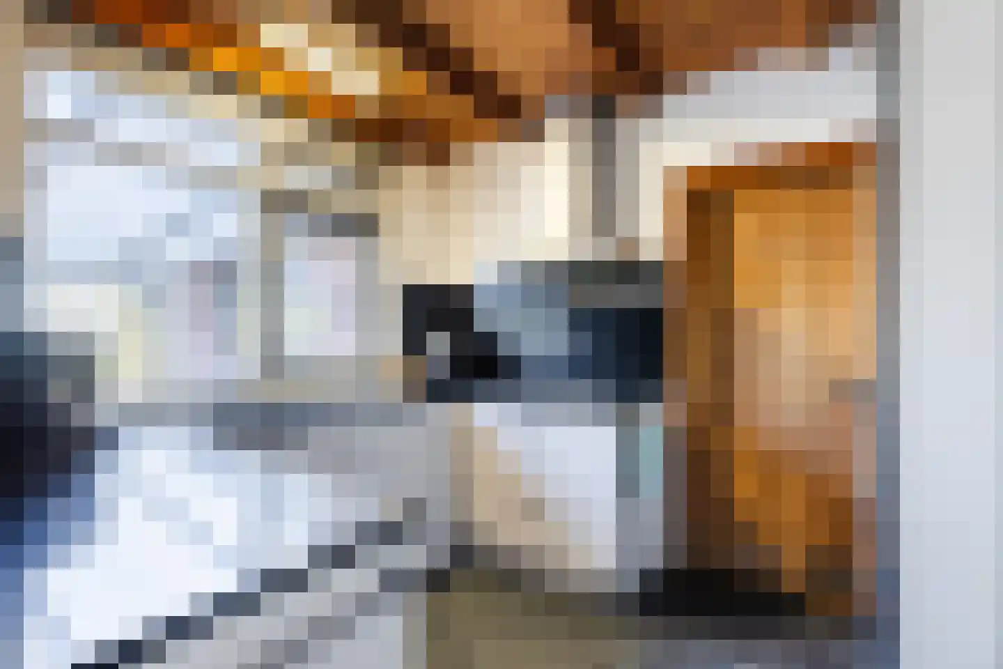 Dorpsstraat 138 B Assendelft thumbnail 23