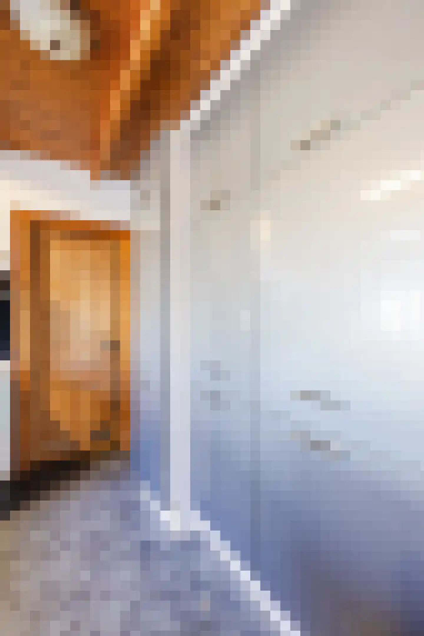Dorpsstraat 138 B Assendelft thumbnail 26