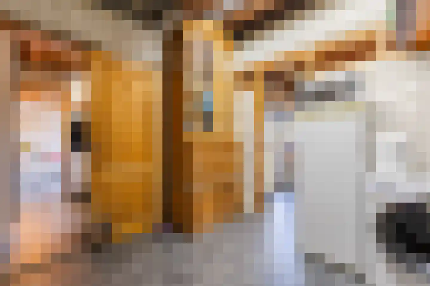 Dorpsstraat 138 B Assendelft thumbnail 27