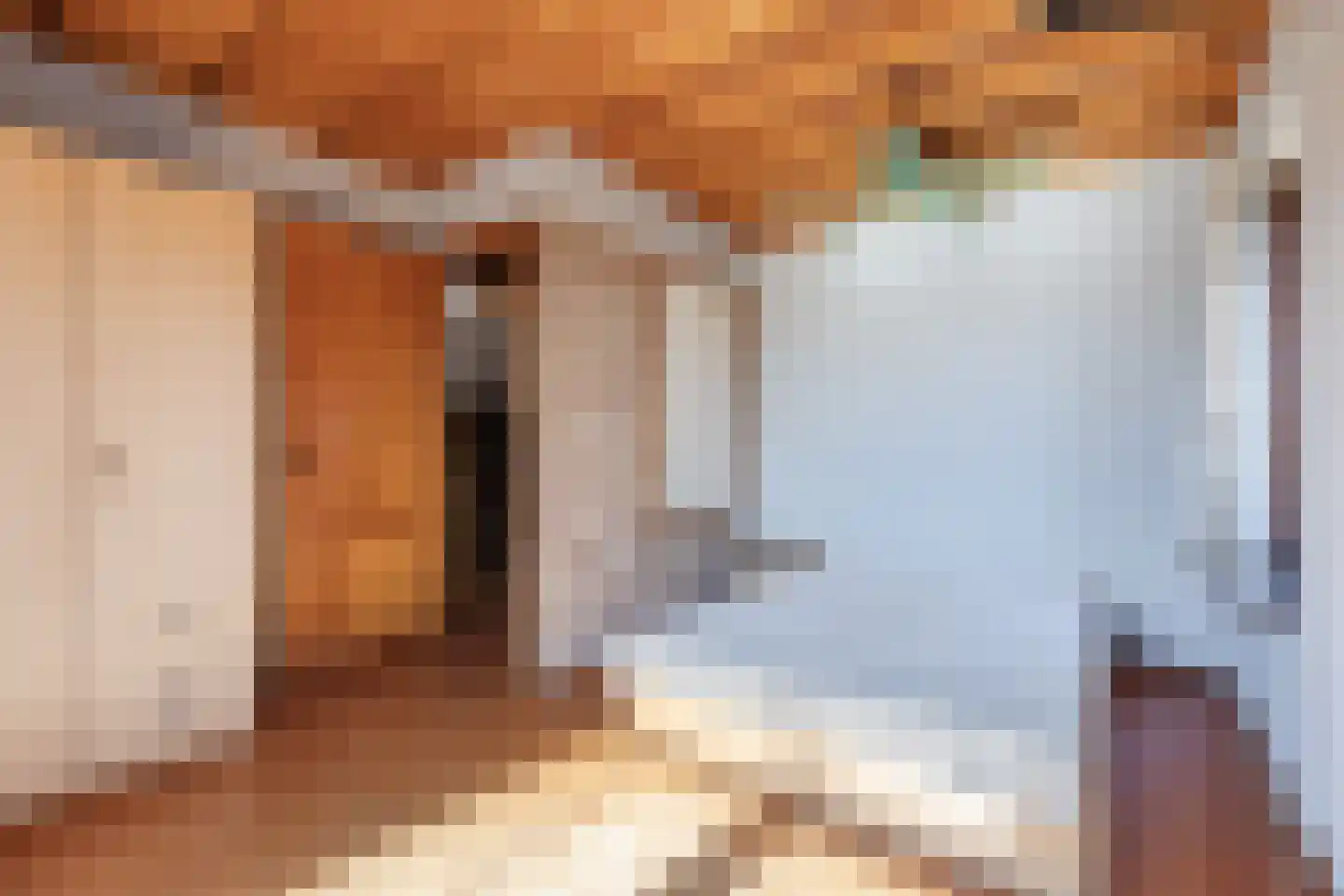 Dorpsstraat 138 B Assendelft thumbnail 32
