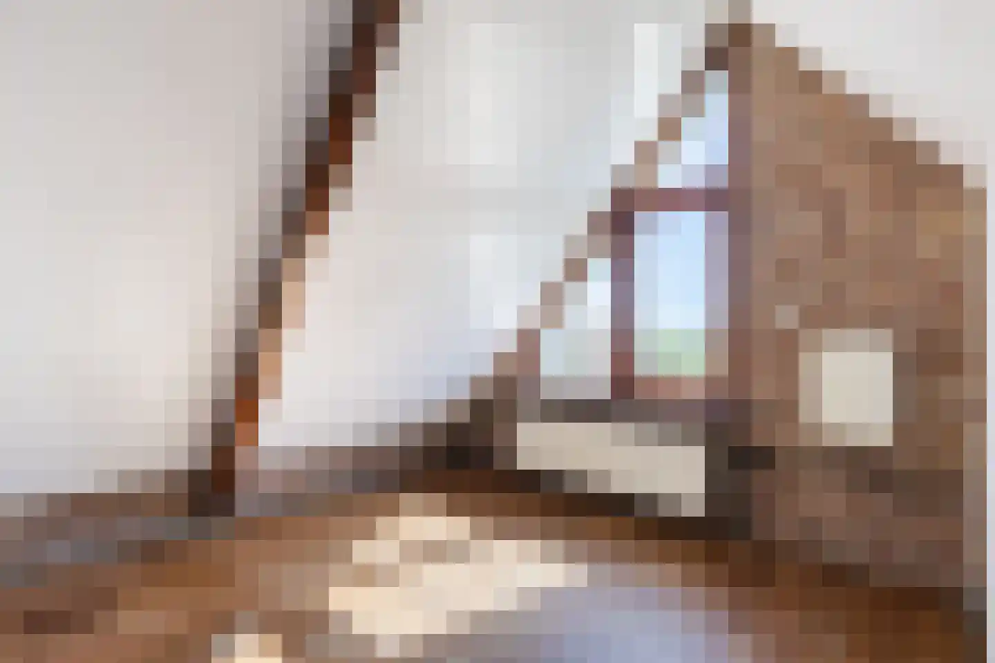 Dorpsstraat 138 B Assendelft thumbnail 43