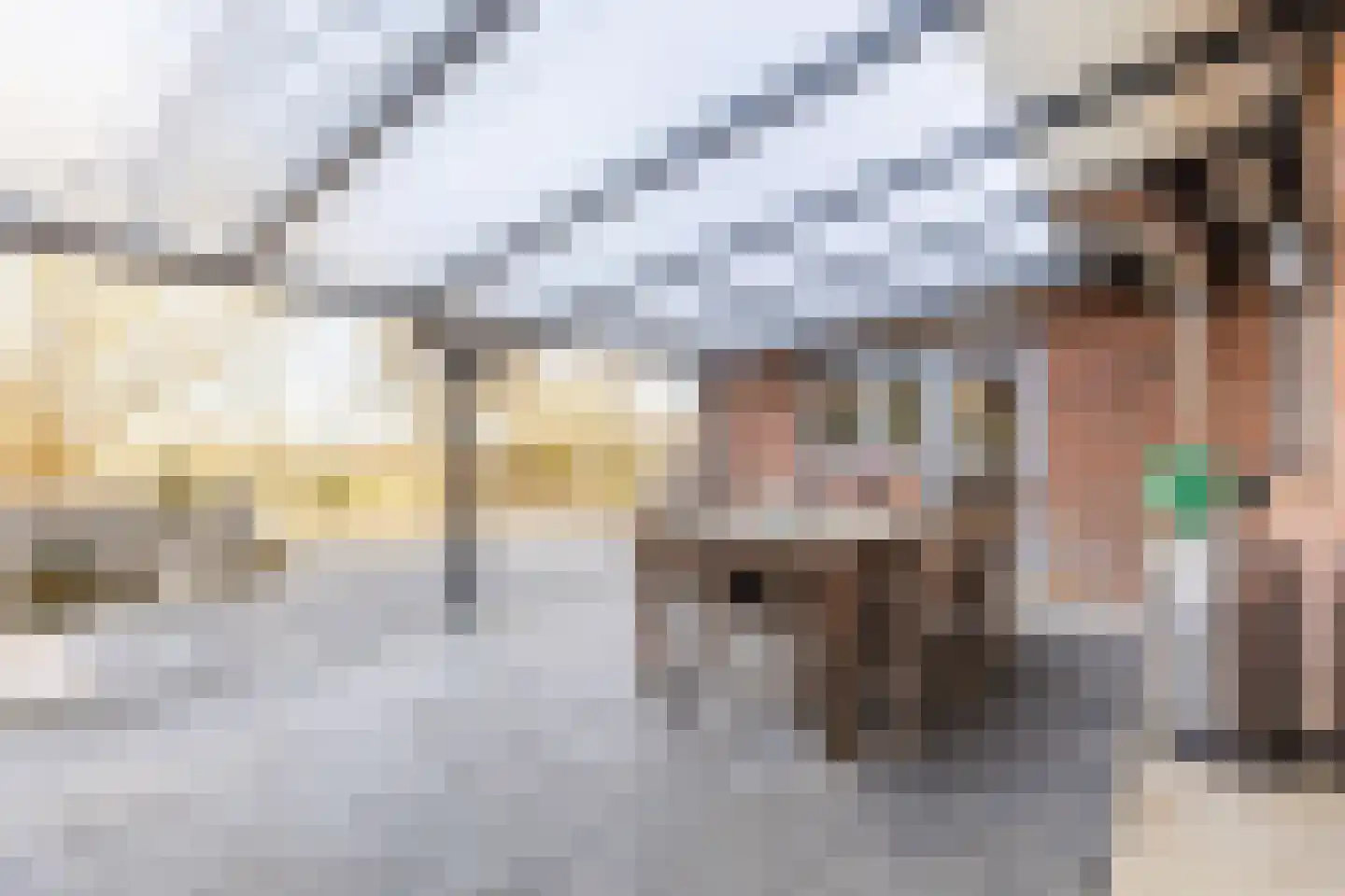 Dorpsstraat 138 B Assendelft thumbnail 49