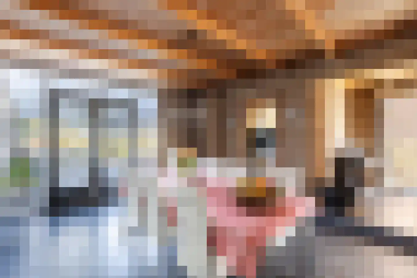 Dorpsstraat 138 B Assendelft thumbnail 5