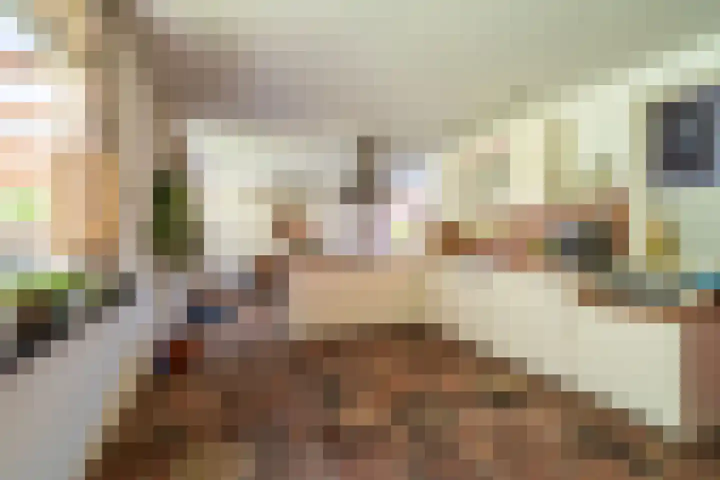 Dorpsstraat 139 Vriescheloo thumbnail 11