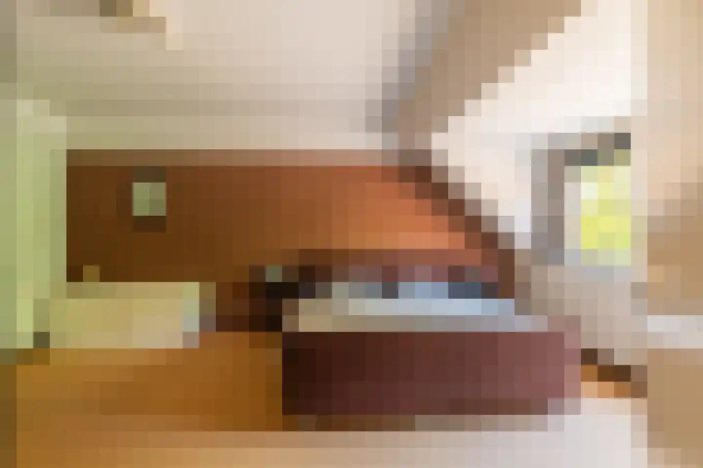 Dorpsstraat 139 Vriescheloo thumbnail 22