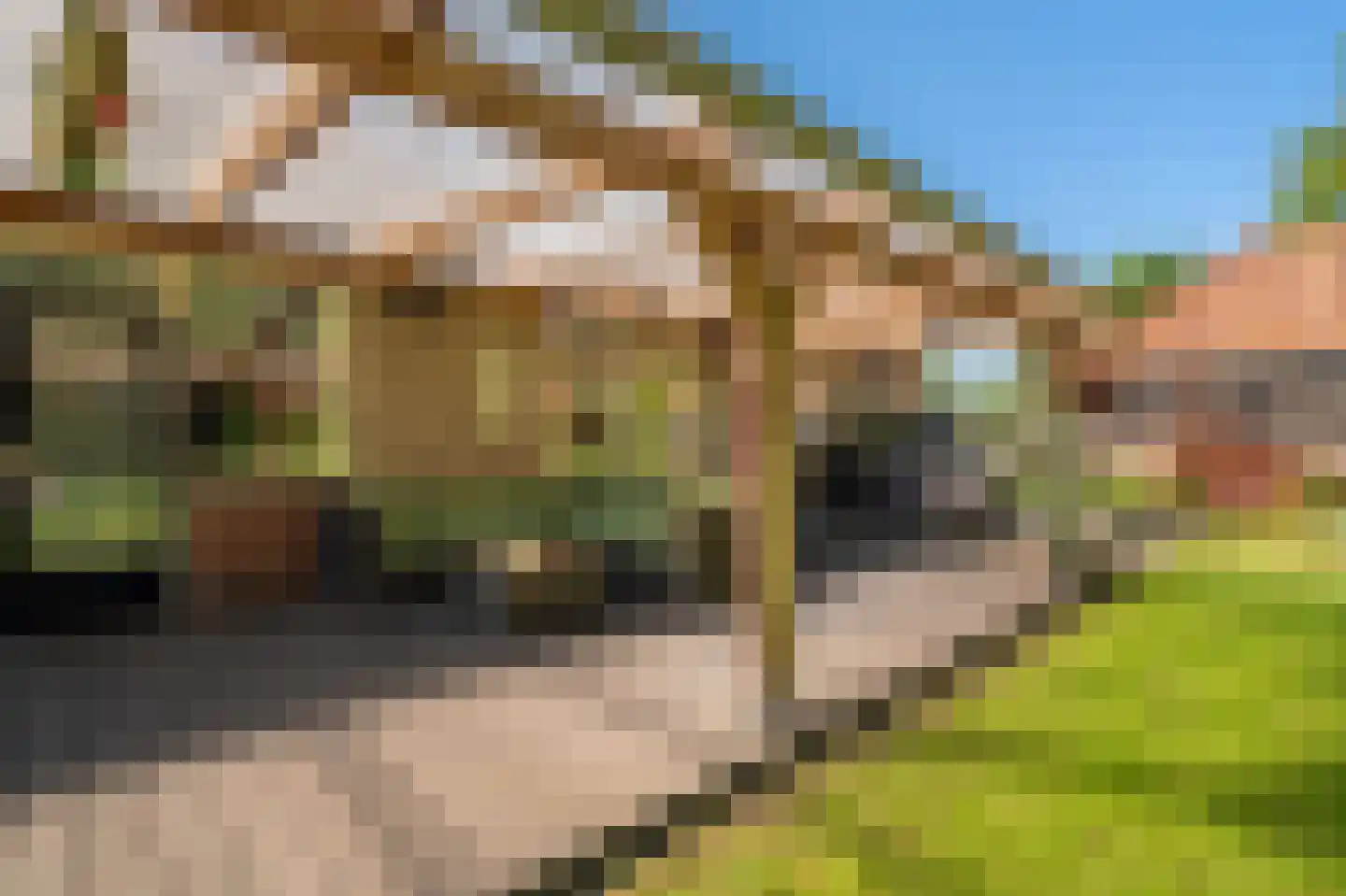 Dorpsstraat 139 Vriescheloo thumbnail 41
