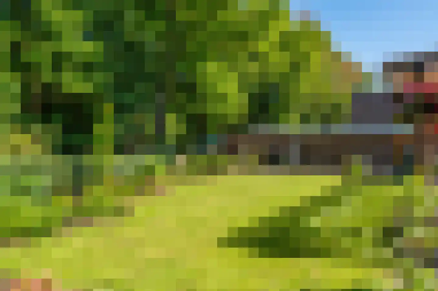Dorpsstraat 139 Vriescheloo thumbnail 46