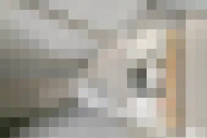 Dorpsstraat 14 a Ingen thumbnail 33