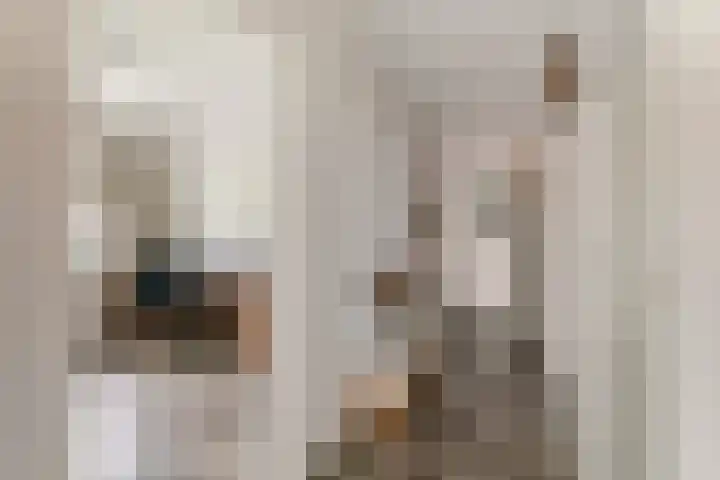Dorpsstraat 14 a Ingen thumbnail 9