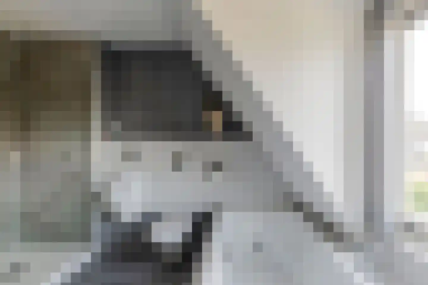 Dorpsstraat 14 A Nieuwegein thumbnail 32