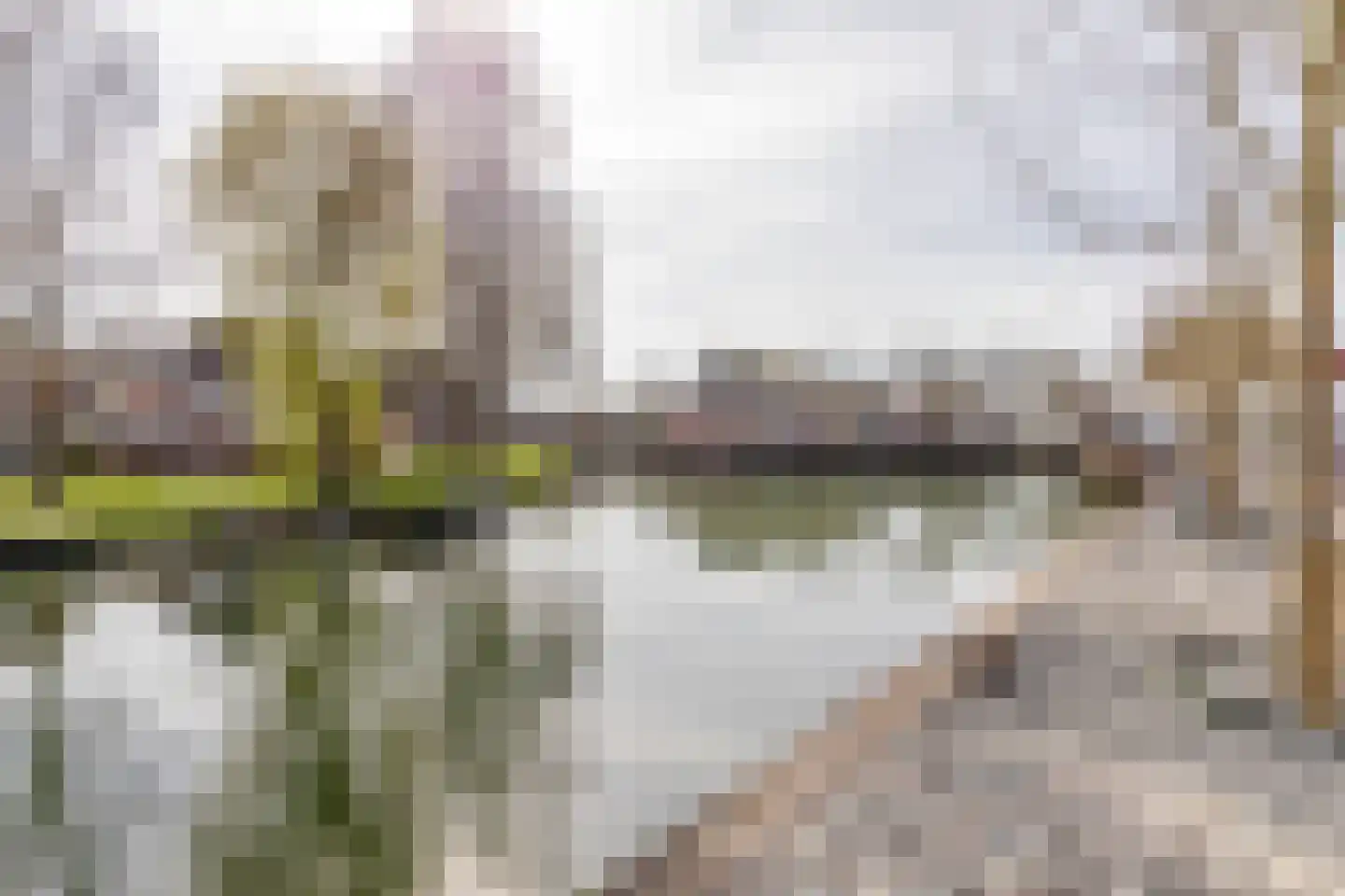 Dorpsstraat 14 A Nieuwegein thumbnail 44