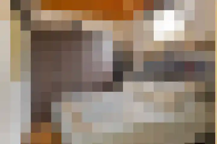 Dorpsstraat 14 Halsteren thumbnail 14