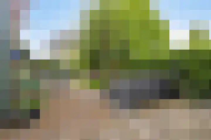Dorpsstraat 14 Halsteren thumbnail 21