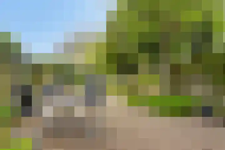 Dorpsstraat 14 Halsteren thumbnail 22