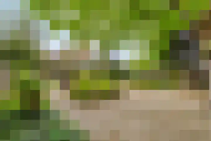 Dorpsstraat 14 Halsteren thumbnail 27