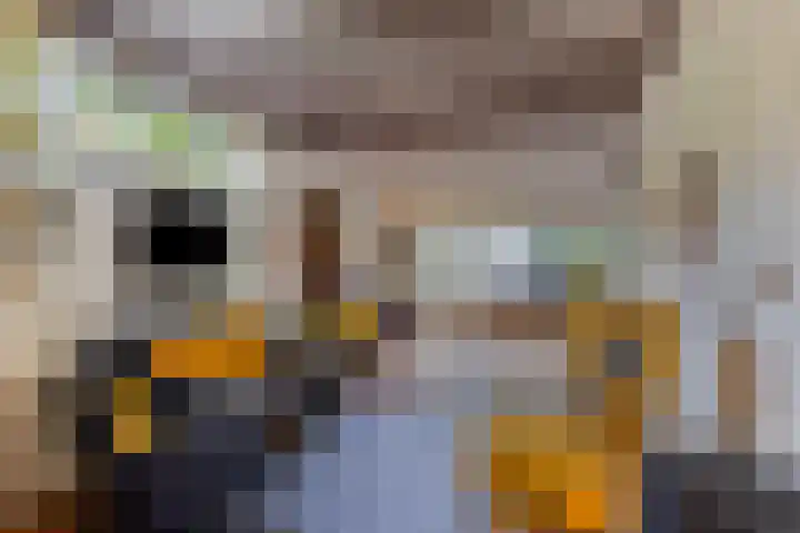 Dorpsstraat 14 Halsteren thumbnail 5