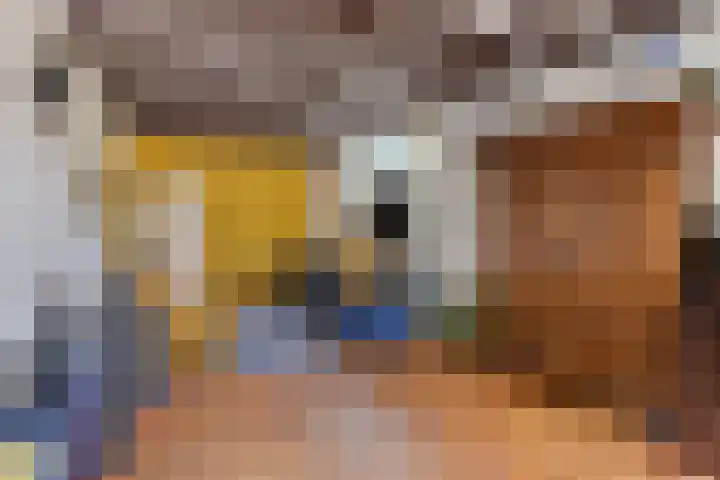 Dorpsstraat 14 Halsteren thumbnail 8
