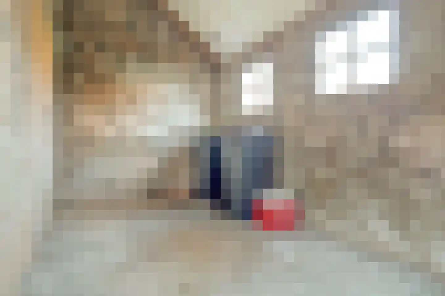 Dorpsstraat 14 Meliskerke thumbnail 34