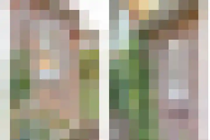 Dorpsstraat 14 Meliskerke thumbnail 38