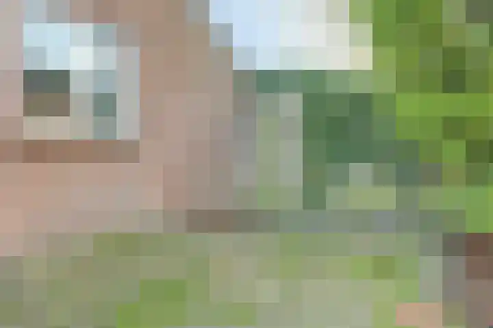 Dorpsstraat 14 Meliskerke thumbnail 9