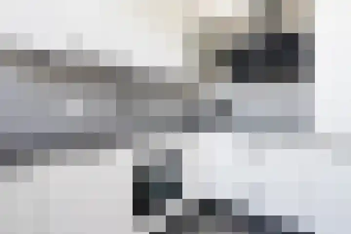 Dorpsstraat 14 Ritthem thumbnail 11
