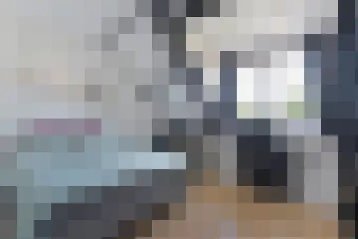 Dorpsstraat 14 Ritthem thumbnail 22