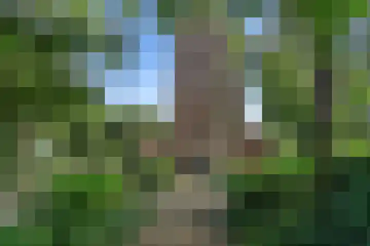 Dorpsstraat 14 Ritthem thumbnail 32