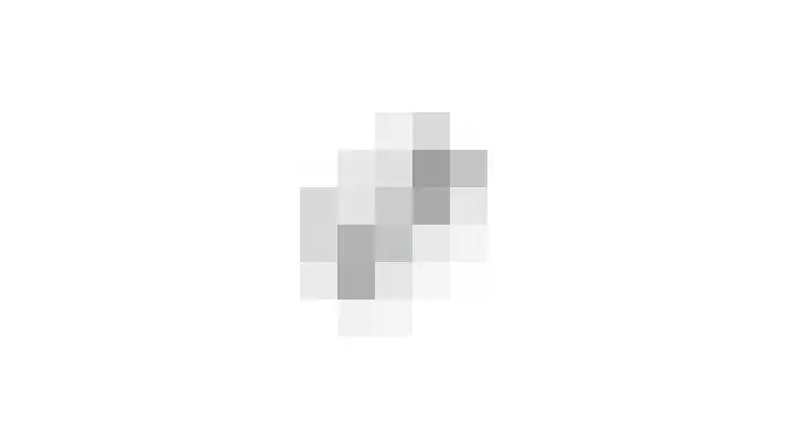 Dorpsstraat 14 Ritthem thumbnail 40