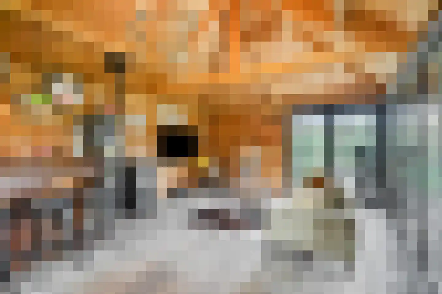 Dorpsstraat 14 Slijk-Ewijk thumbnail 37