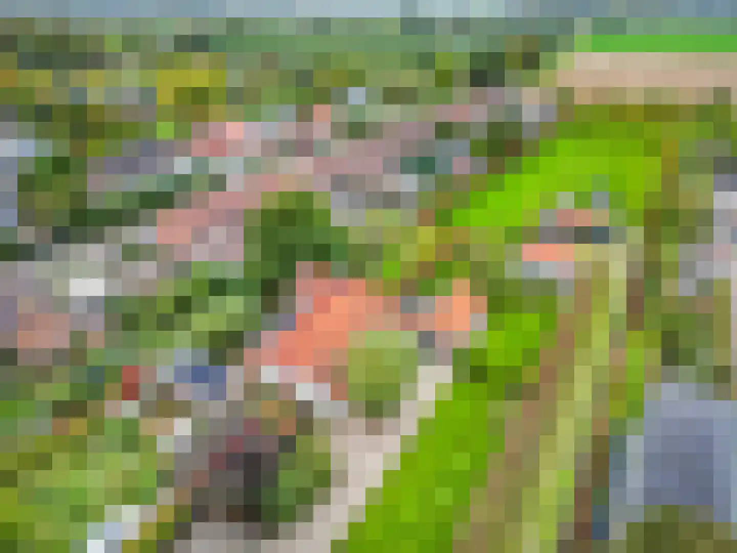 Dorpsstraat 14 Slijk-Ewijk thumbnail 4