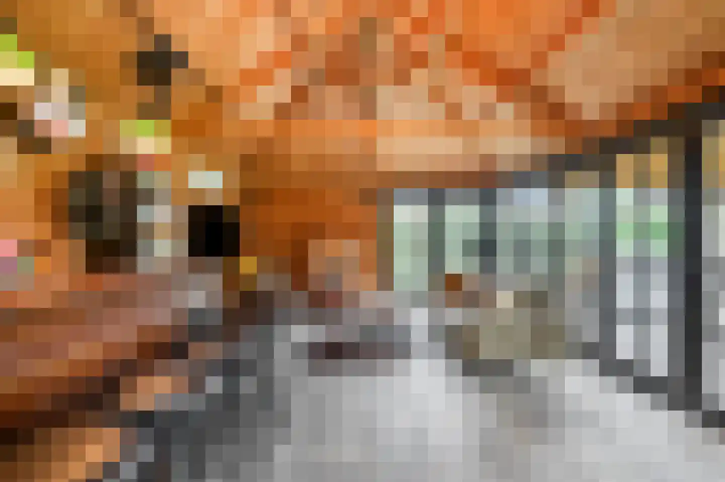 Dorpsstraat 14 Slijk-Ewijk thumbnail 41