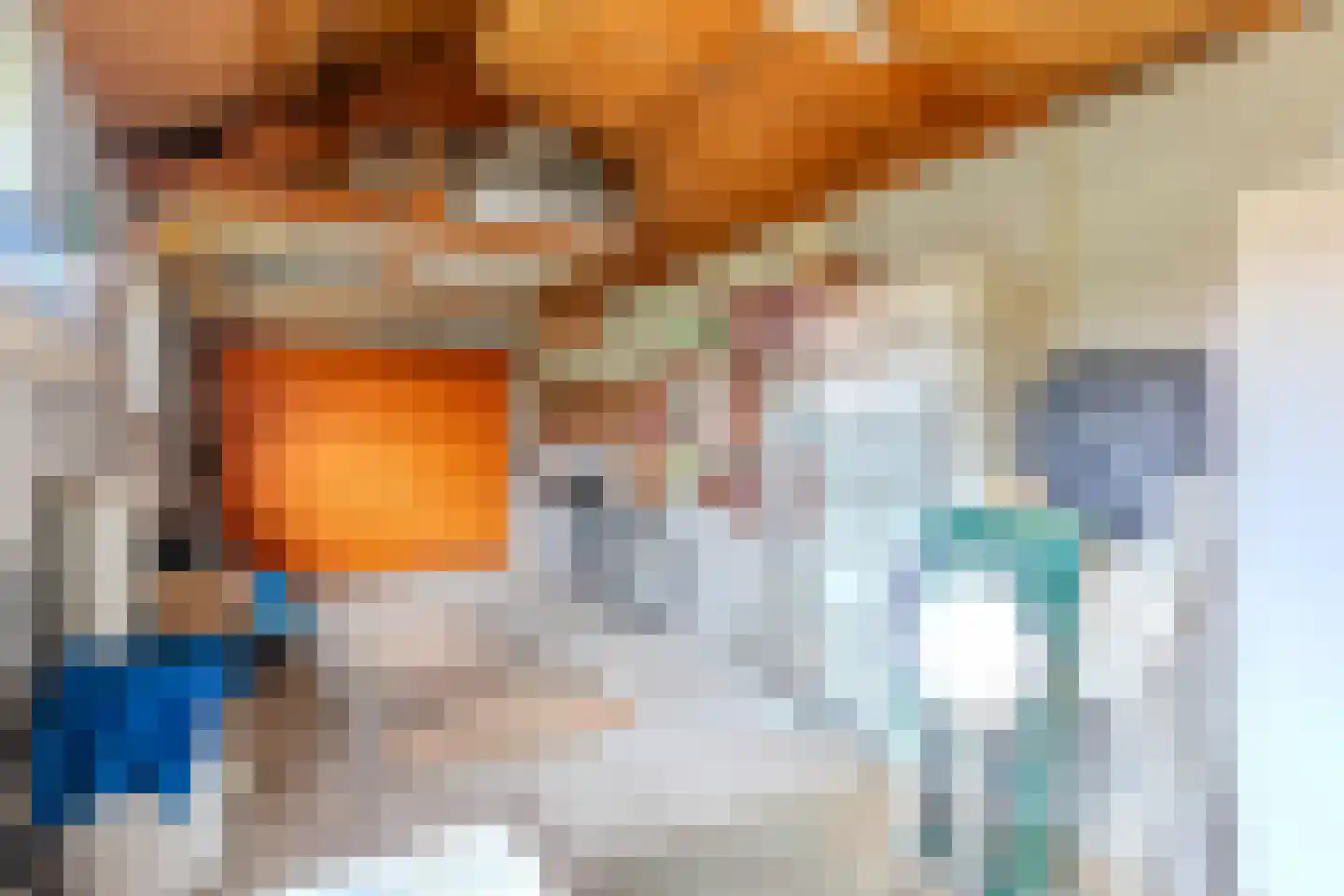 Dorpsstraat 14 Woensdrecht thumbnail 34