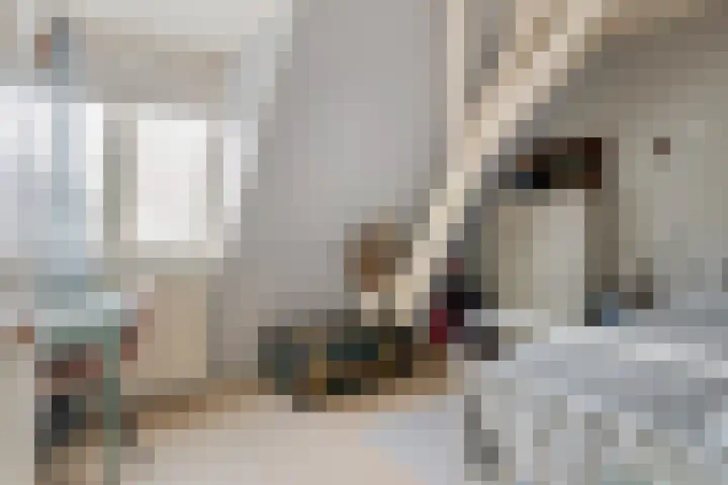 Dorpsstraat 14 Zuidzande thumbnail 32