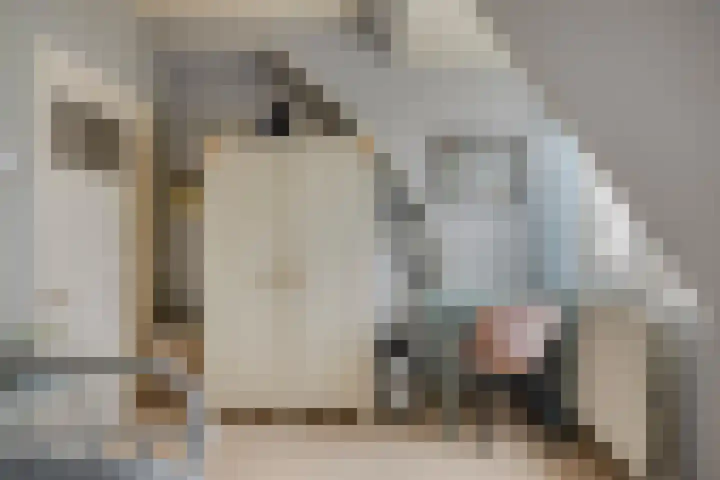 Dorpsstraat 14 Zuidzande thumbnail 34