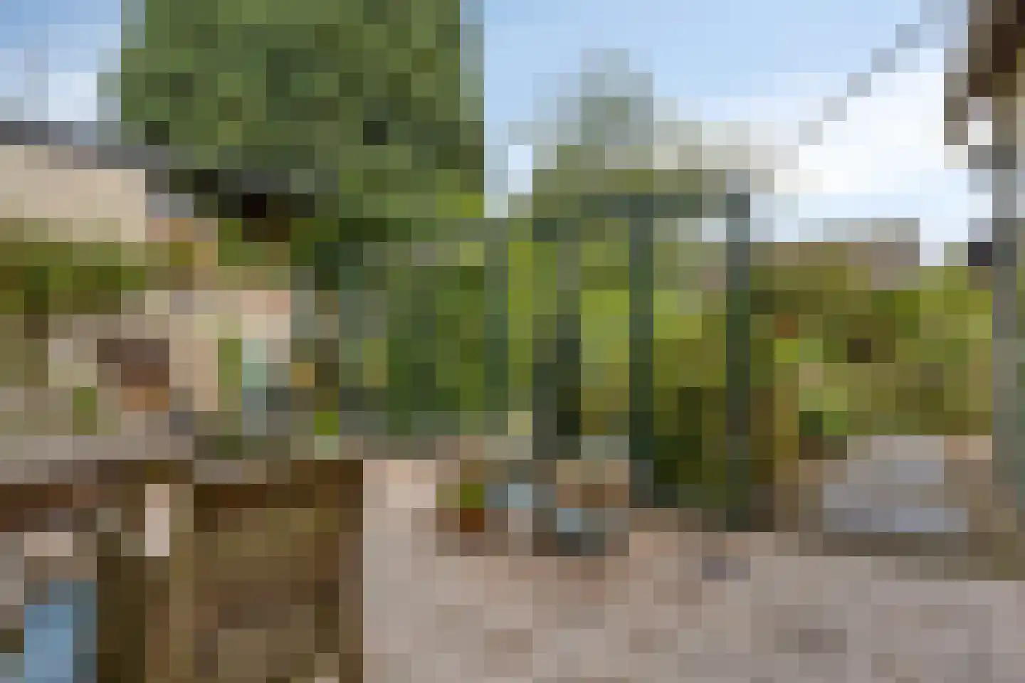 Dorpsstraat 14 Zuidzande thumbnail 35
