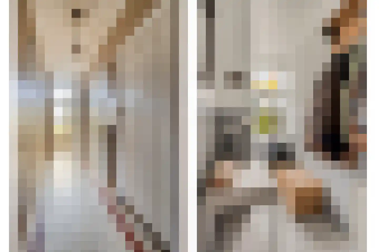 Dorpsstraat 14 Zuidzande thumbnail 4