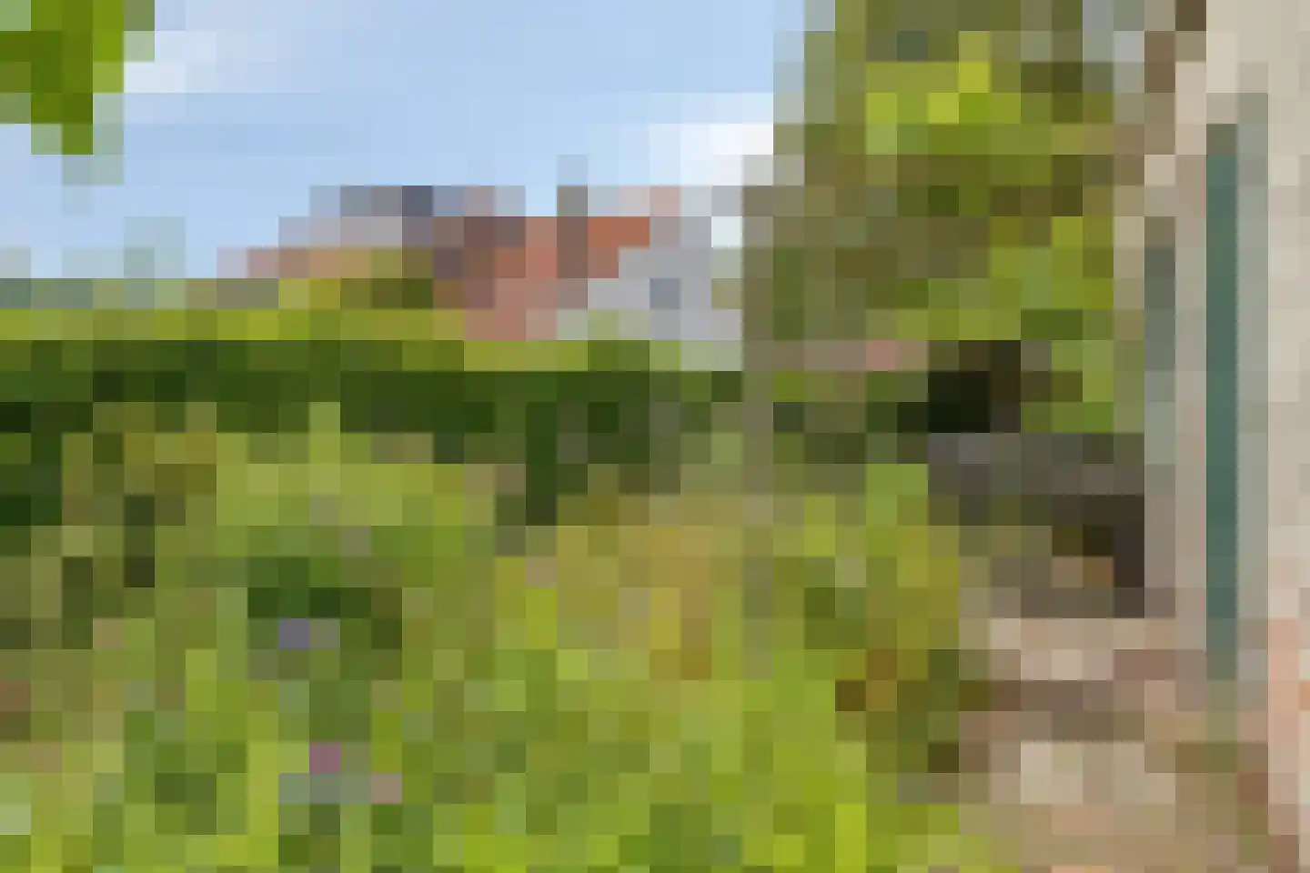 Dorpsstraat 14 Zuidzande thumbnail 41