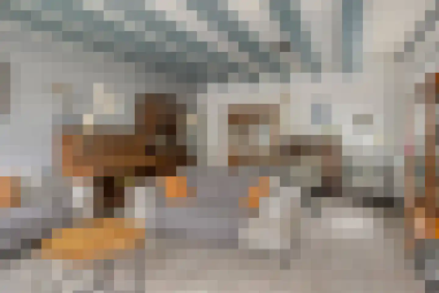 Dorpsstraat 14 Zuidzande thumbnail 6