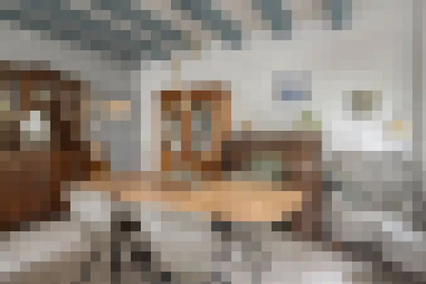 Dorpsstraat 14 Zuidzande thumbnail 7