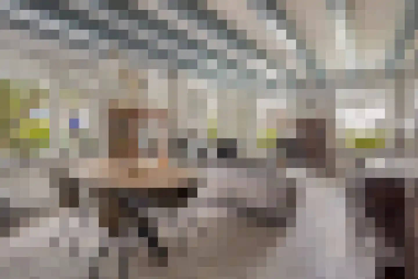 Dorpsstraat 14 Zuidzande thumbnail 8