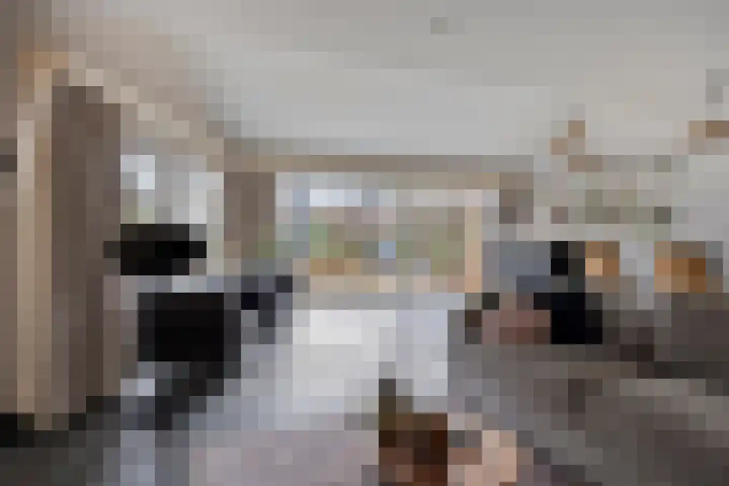 Dorpsstraat 140 Capelle aan den IJssel thumbnail 14