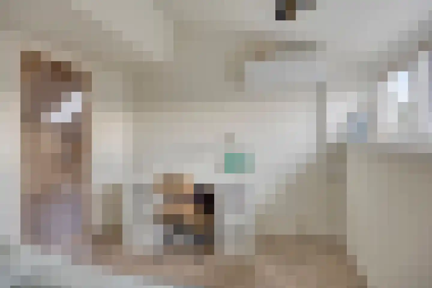 Dorpsstraat 140 Capelle aan den IJssel thumbnail 34