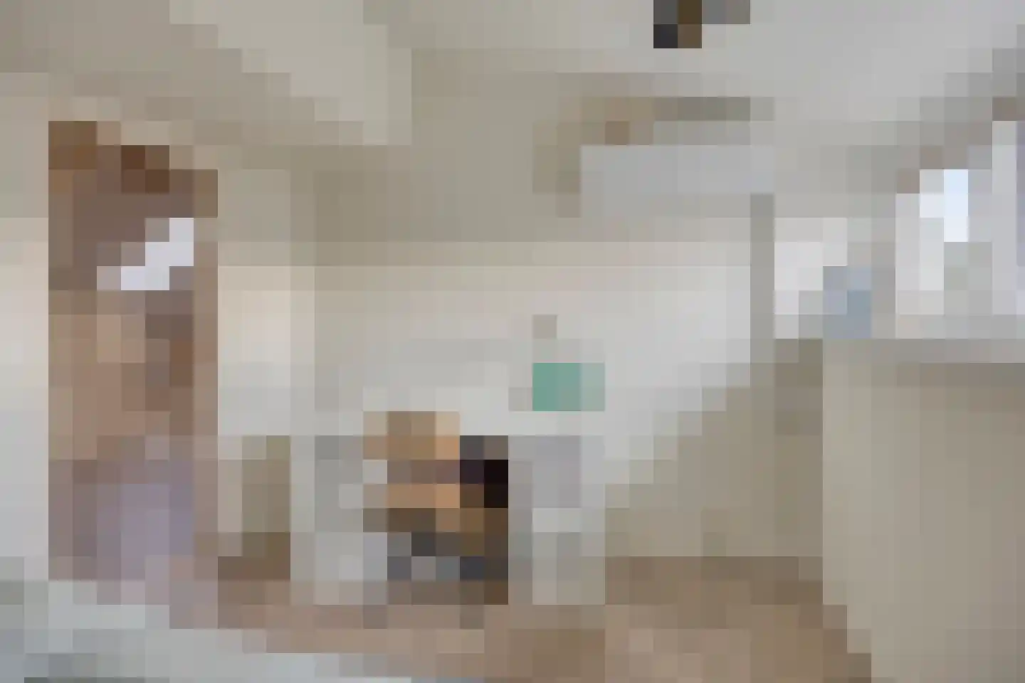 Dorpsstraat 140 Capelle aan den IJssel thumbnail 35
