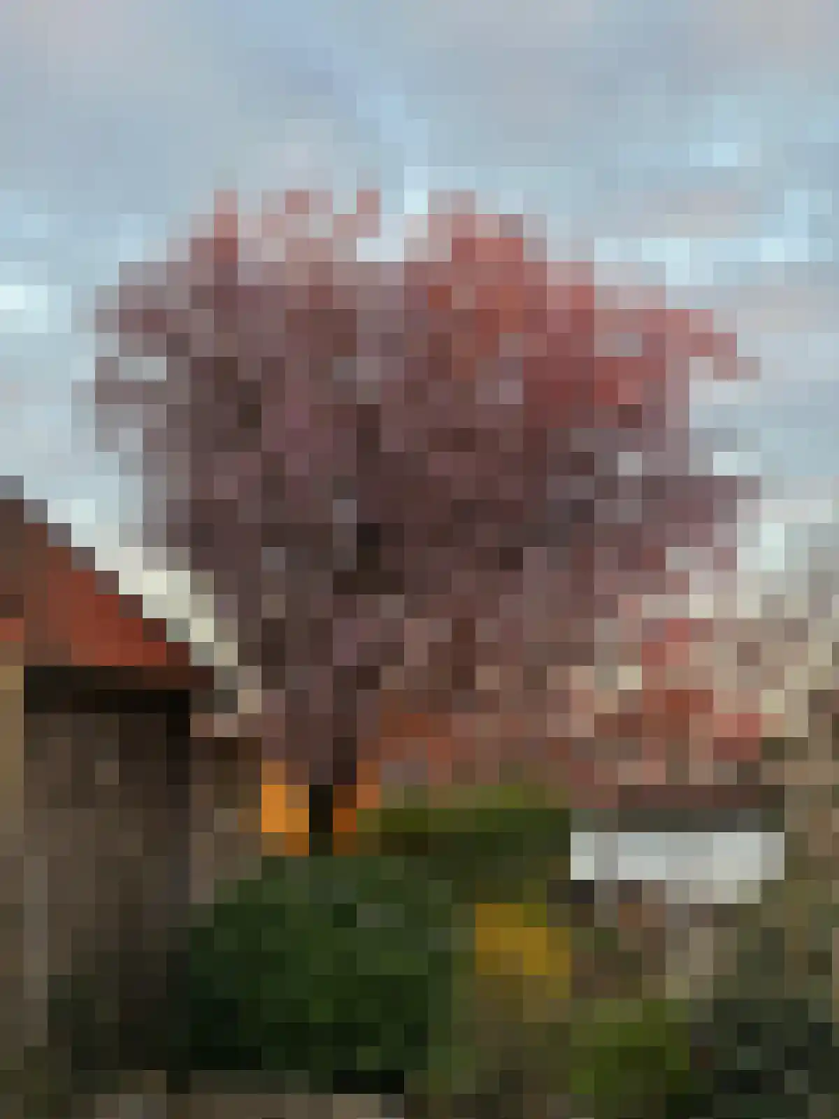 Dorpsstraat 140 Capelle aan den IJssel thumbnail 45