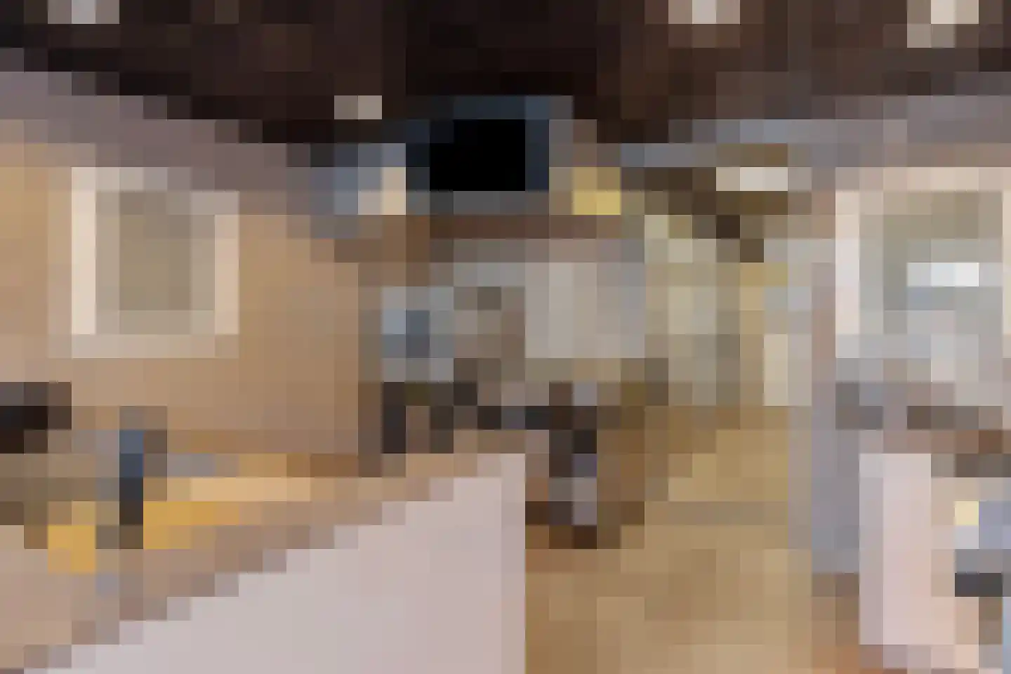 Dorpsstraat 140 Scherpenzeel thumbnail 10