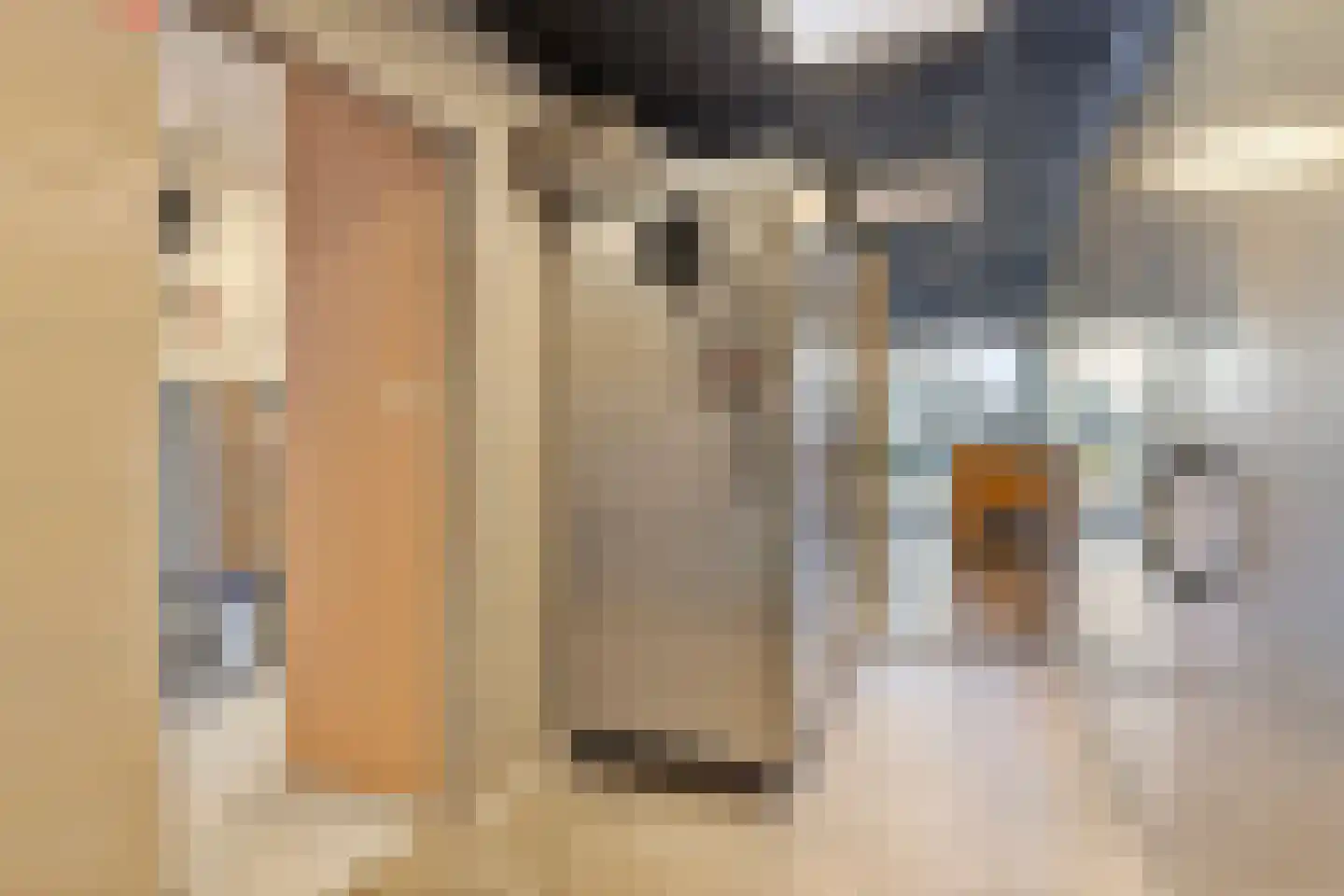 Dorpsstraat 140 Scherpenzeel thumbnail 12