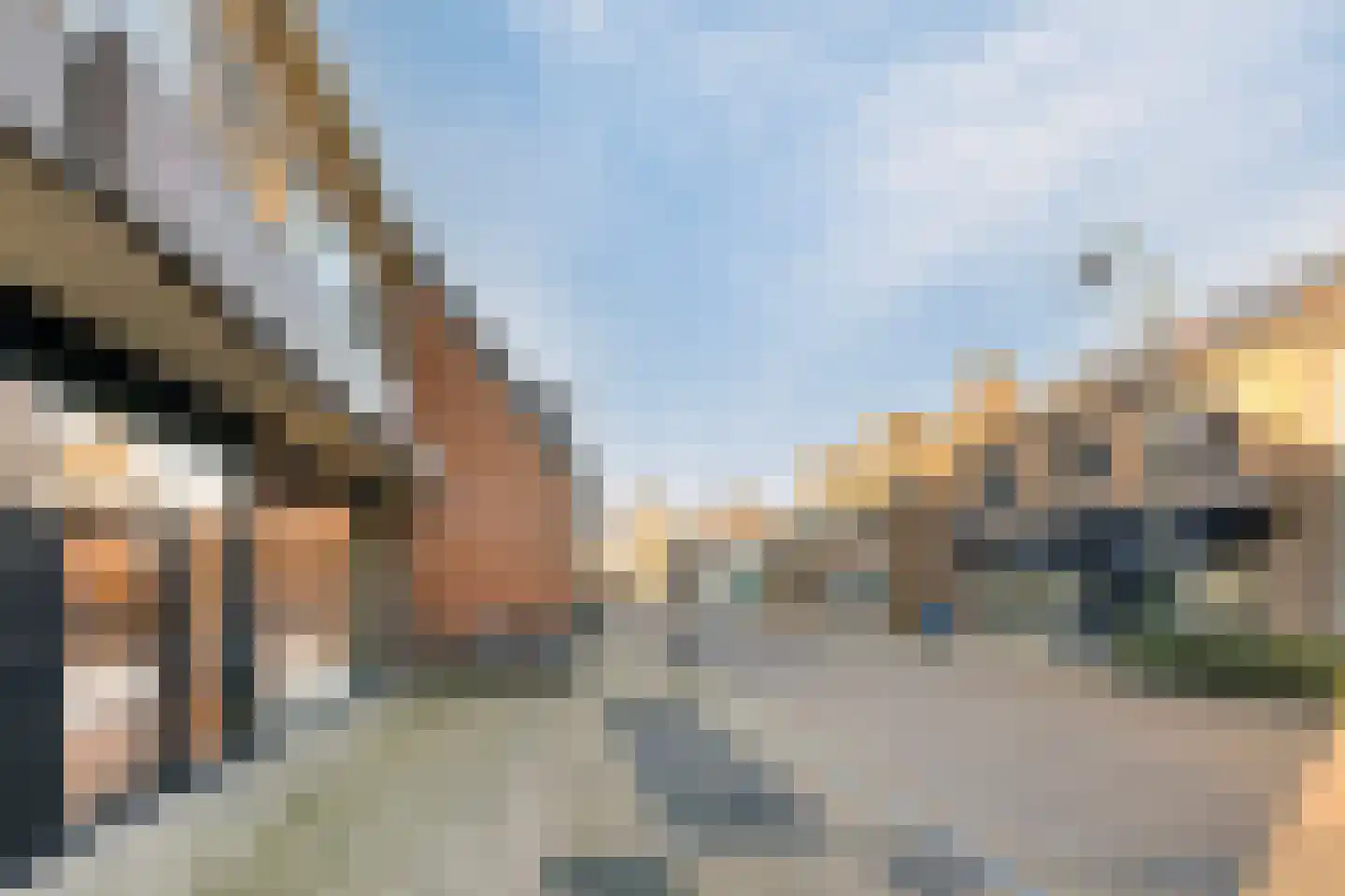 Dorpsstraat 140 Scherpenzeel thumbnail 16