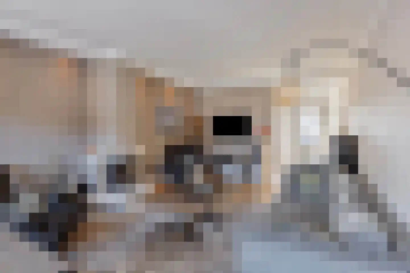 Dorpsstraat 140 Scherpenzeel thumbnail 21