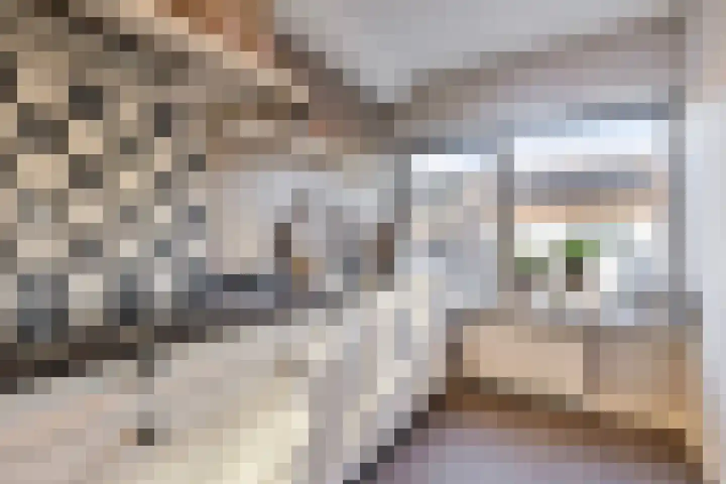Dorpsstraat 140 Scherpenzeel thumbnail 23